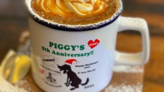 4月20日(日)、里親様オフ会、無事終了しました